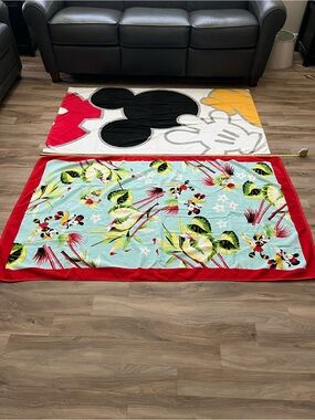 Disney beach towels (Mickey and Minnie)